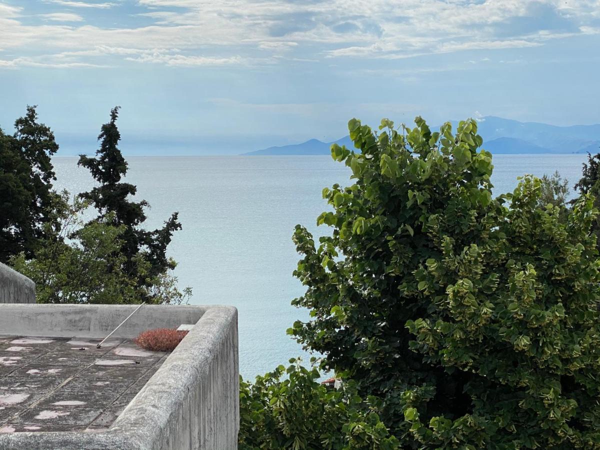 Irini Seaside Apartment PalaiónTsiflíkion Екстериор снимка